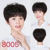 Peluca mujer pelo corto alto grado cabeza completa cara redonda natural bobble cabello completo cabello real cabello largo medio moda peluca set hdidnjhdub Application Scenario